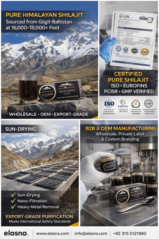 Pure Himalayan Shilajit from Gilgit-Baltistan – Gold Grade Wholesale & OEM Supplier | Elasna