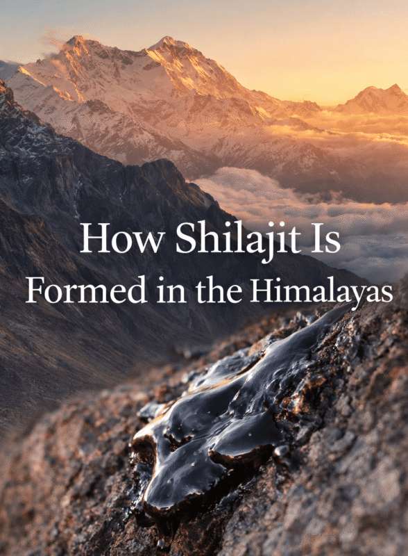 Pure Himalayan Shilajit naturally forming on high-altitude Himalayan rocks, sourced from Gilgit-Baltistan by Elasna Himalayan Shilajit
