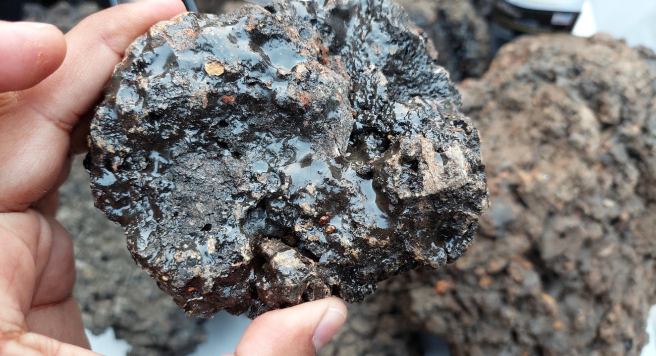 Raw sun-dried Pure Himalayan Shilajit resin sourced from Gilgit-Baltistan mountains at 16,000–18,000 feet for wholesale and export supply