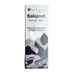 Elasna Shilajit Dryfruit Mix Bar – Premium Himalayan Energy Bar with Gold Grade Shilajit