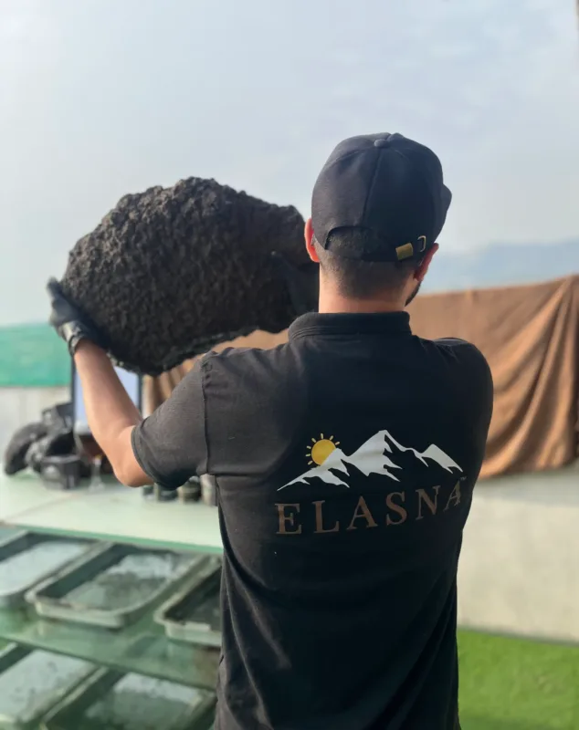 Himalayan Shilajit resin held by Elasna team member showcasing premium raw mountain-sourced extract