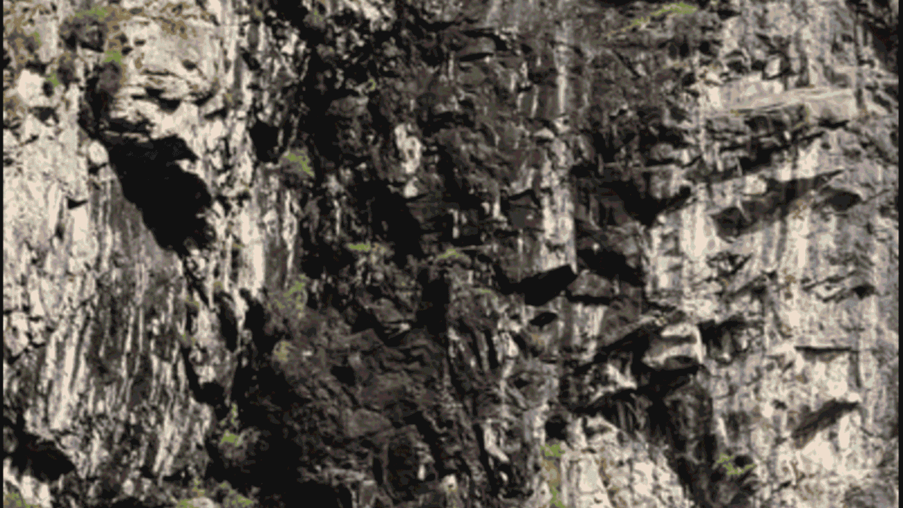 Raw Himalayan shilajit resin naturally forming on mountain rocks used for Elasna™ Himalayan Shilajit sourcing