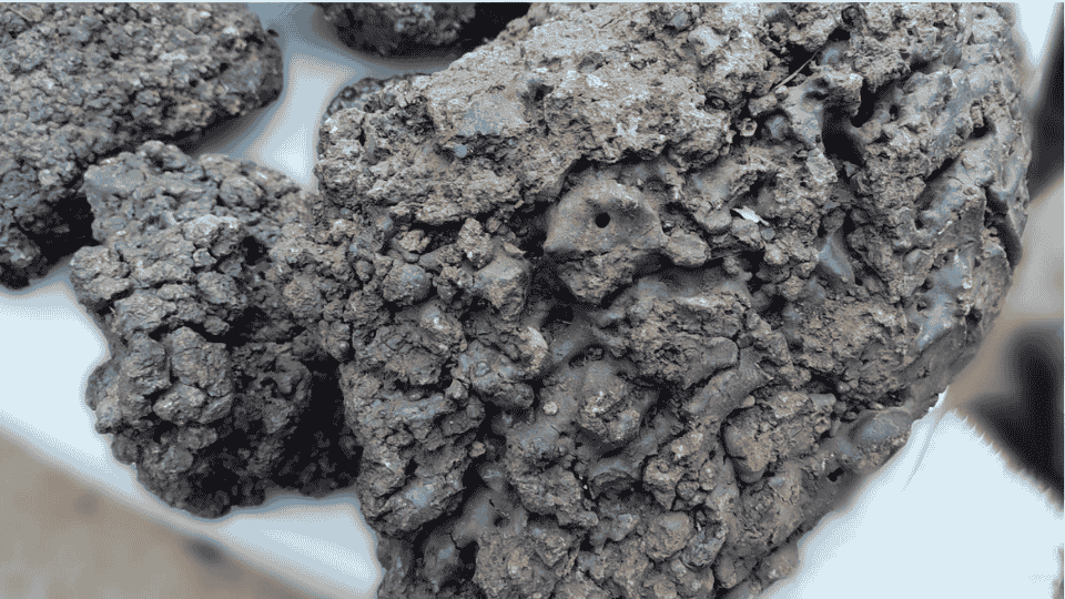 Raw Himalayan Shilajit stone from Gilgit-Baltistan high altitude source – pure mineral-rich resin formation