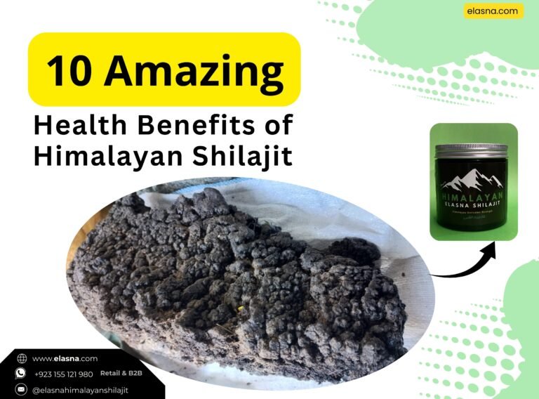 10 Amazing Health Benefits of Himalayan Shilajit
