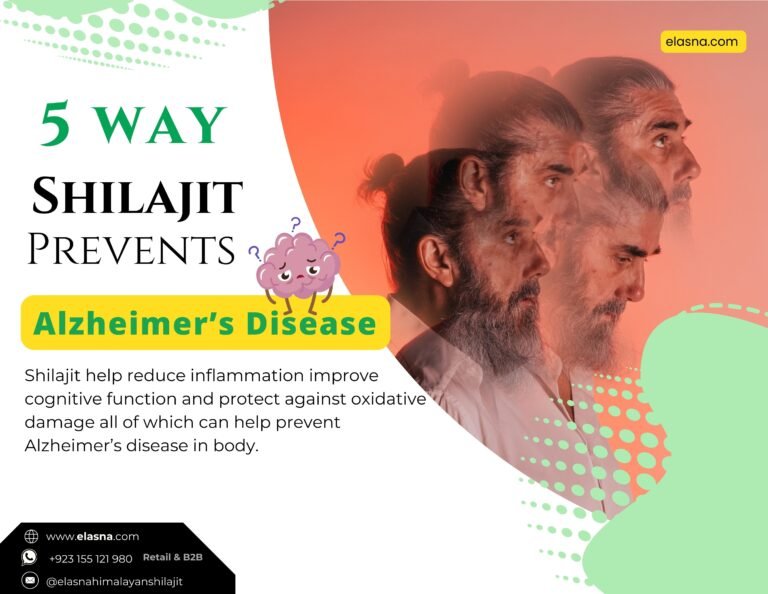 5 Ways Shilajit Helps Prevent Alzheimer’s Disease