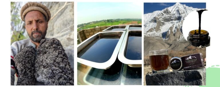 We Work Hard To Provide You the Best Quality Shilajit and Supplements
