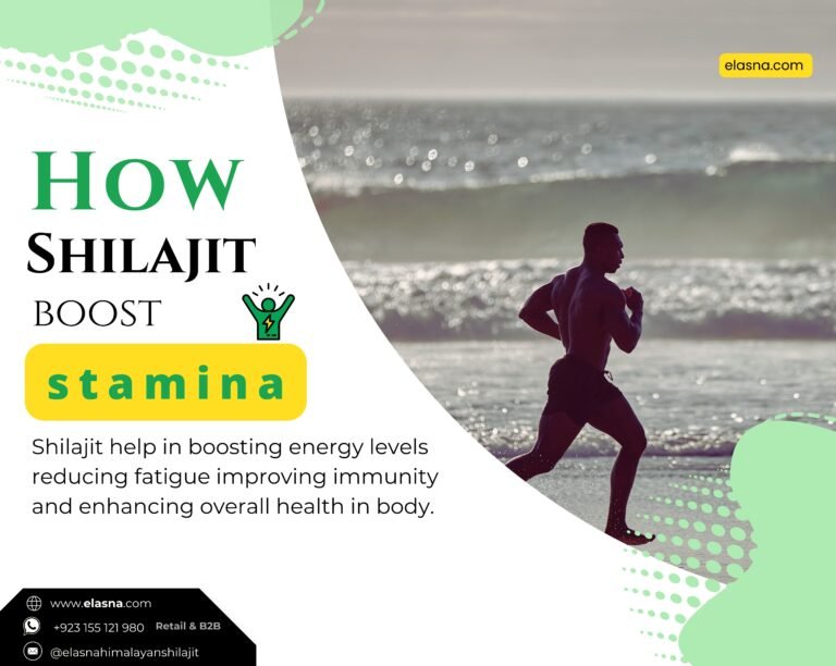How Shilajit Boosts Energy and Stamina Naturally