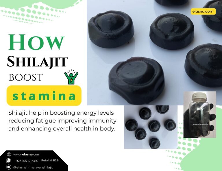 Shilajit Gummies: A Delicious Way to Boost Energy, Immunity, and Vitality