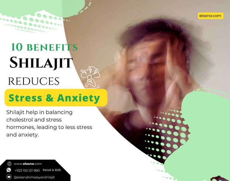 10 Benefits of Shilajit for Stress and Anxiety Relief in the Human Body