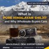 Pure Himalayan Shilajit from Gilgit Baltistan – Wholesale & OEM Supplier | Elasna