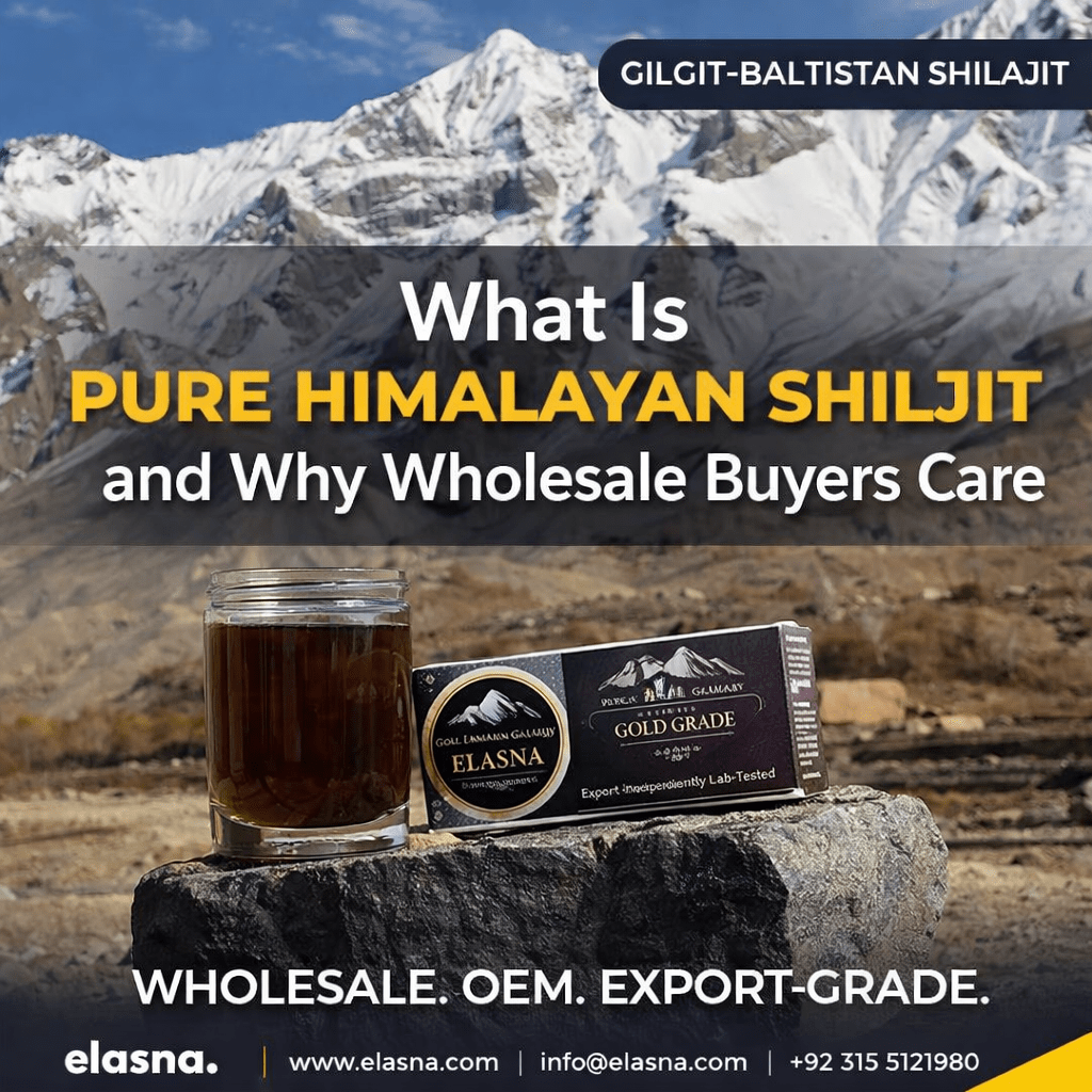 Pure Himalayan Shilajit from Gilgit Baltistan – Wholesale & OEM Supplier | Elasna